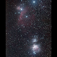 m42 and the horsehead nebula