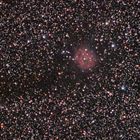 the cocoon and dark nebulae