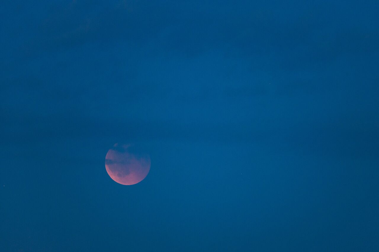 2R9A7278.jpg